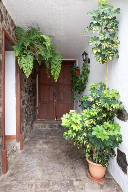 Casa Canaria Acero Гарачико Екстериор снимка